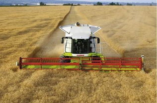 設施農業在中國發展之困 人為因素與基礎設施的雙重掣肘