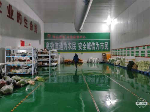 強化物流基礎設施，武威助力農特產品銷售出實招——農業企業托管服務創新模式