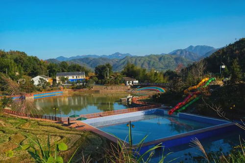 蒼南小鎮 農業托管服務孵出50億產業鏈