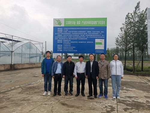 注重農產品質量安全 提升蔬菜產業設施構型