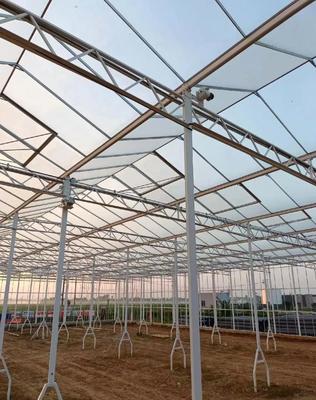 建筑百科 | 農業項目密度 生產大棚是否屬于建筑工程？農業企業托管服務解析