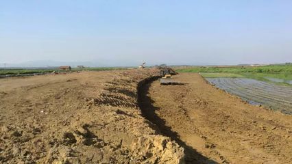 沃野織錦繡 黃梅繪新篇——從農業基礎設施建設看現代農業崛起