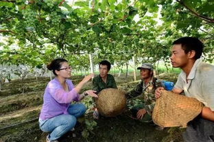 女漢子田間展英姿，農業基建鑄就致富路